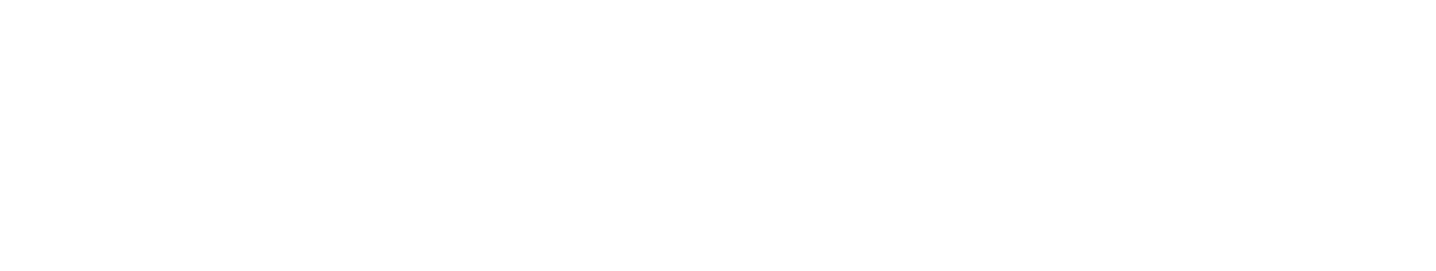 Nissin Medical